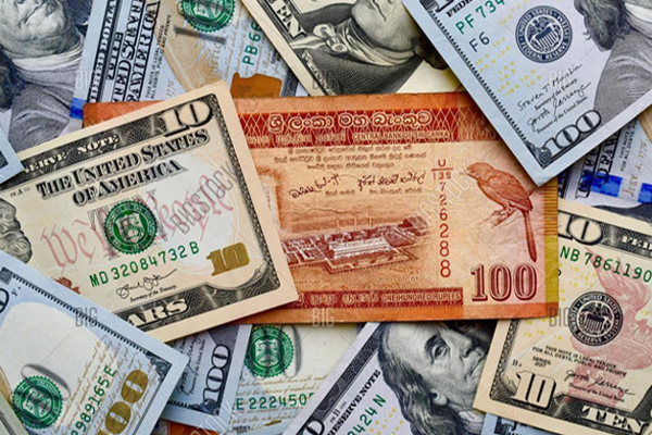 டொலருக்கு நிகரான ரூபாவின் பெறுமதியில் இன்று ஏற்பட்ட மாற்றம் | Us Dollar Buy And Sell Exchange Rates In Sl Banks