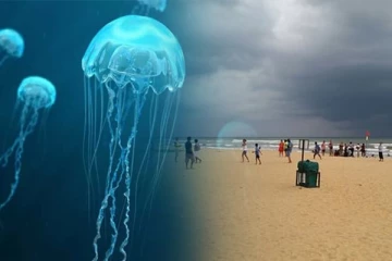 கடற்கரைக்கு சென்றவர்களுக்கு நேர்ந்த கதி - 10 பேர் வைத்தியசாலையில் அனுமதி