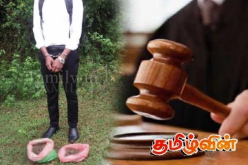 வவுனியாவில் கேரள கஞ்சாவுடன் சட்டத்தரணி கைது: நீதிமன்றம் பிறப்பித்துள்ள உத்தரவு