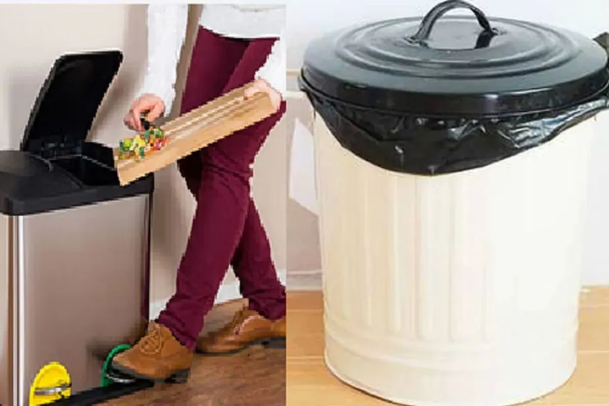 வாஸ்து: வீட்டில் குப்பை தொட்டியும் அதிர்ஷ்டம் தருமாம்.. எப்படி தெரியுமா ? | Right Place To Keep Dustbin According Vastu வாஸ்து: வீட்டில் குப்பை தொட்டியும் அதிர்ஷ்டம் தருமாம்.. எப்படி தெரியுமா ? | Right Place To Keep Dustbin According Vastu