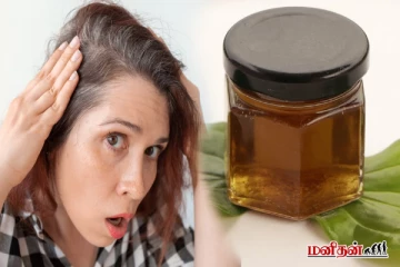 இளநரைக்கு முடிவு கட்டும் வெற்றிலை எண்ணெய் - எப்படி செய்யலாம்?