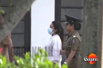 රොෂෙල් අබේගුණවර්ධනට ඇප