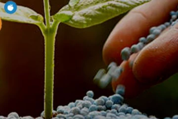 පොහොර මිල අඩු කෙරේ..!