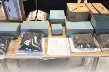 அமெரிக்கா மற்றும் கனடாவில் இருந்து வந்த பொதிகள்! - பெருந்தொகை போதைப் பொருள் மீட்பு