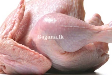 කුකුළු මස් ගැනත් තීරණයක්.