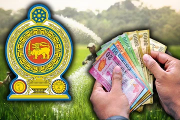 சேதமடைந்த பயிர்களுக்கு ஒரு இலட்சம் ரூபா இழப்பீடு : விவசாயிகளுக்கு வெளியான முக்கிய தகவல்