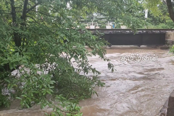 வவுனியாவில் கடும் மழை மற்றும் புயல் காரணமாக உடைந்த 114 குளங்கள்.. | 114 Ponds Broken Due Heavy Rain And Storm Vavuniya வவுனியாவில் கடும் மழை மற்றும் புயல் காரணமாக உடைந்த 114 குளங்கள்.. | 114 Ponds Broken Due Heavy Rain And Storm Vavuniya