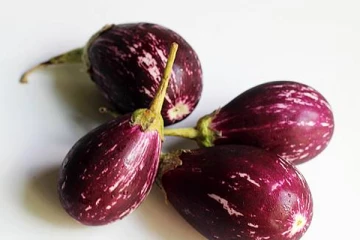 கத்தரிக்காயை பிஞ்சாக சாப்பிடுவதே நல்லதா?