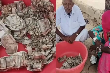ரூ.5 லட்சம் பணத்தை அரித்த கரையான் - விவசாயிக்கு நேர்ந்த துயரம்