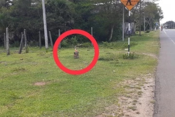 வவுனியா - செட்டிகுளத்தில் திசை மாறும் புத்தர் சிலை விவகாரம்! மனநலம் பாதிக்கப்பட்டவரே காரணம் என தகவல்