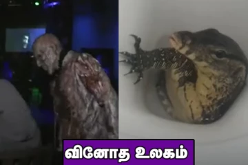 திகில் படம் பார்த்த அனுபவத்தை ஏற்படுத்தும் உணவகம்..கழிவறைக் கோப்பையிலிருந்து எட்டிப் பார்த்த உடும்பு! வினோத உலகம்