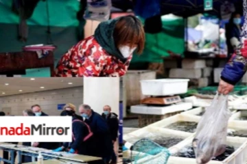 உலக சுகாதார அமைப்பின் ஆய்வறிக்கை; அமெரிக்கா- இங்கிலாந்து கடும் விமர்சனம்