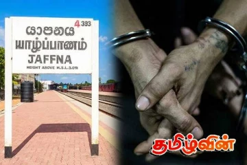 யாழில் 14 பேர் பொலிஸாரால் கைது!