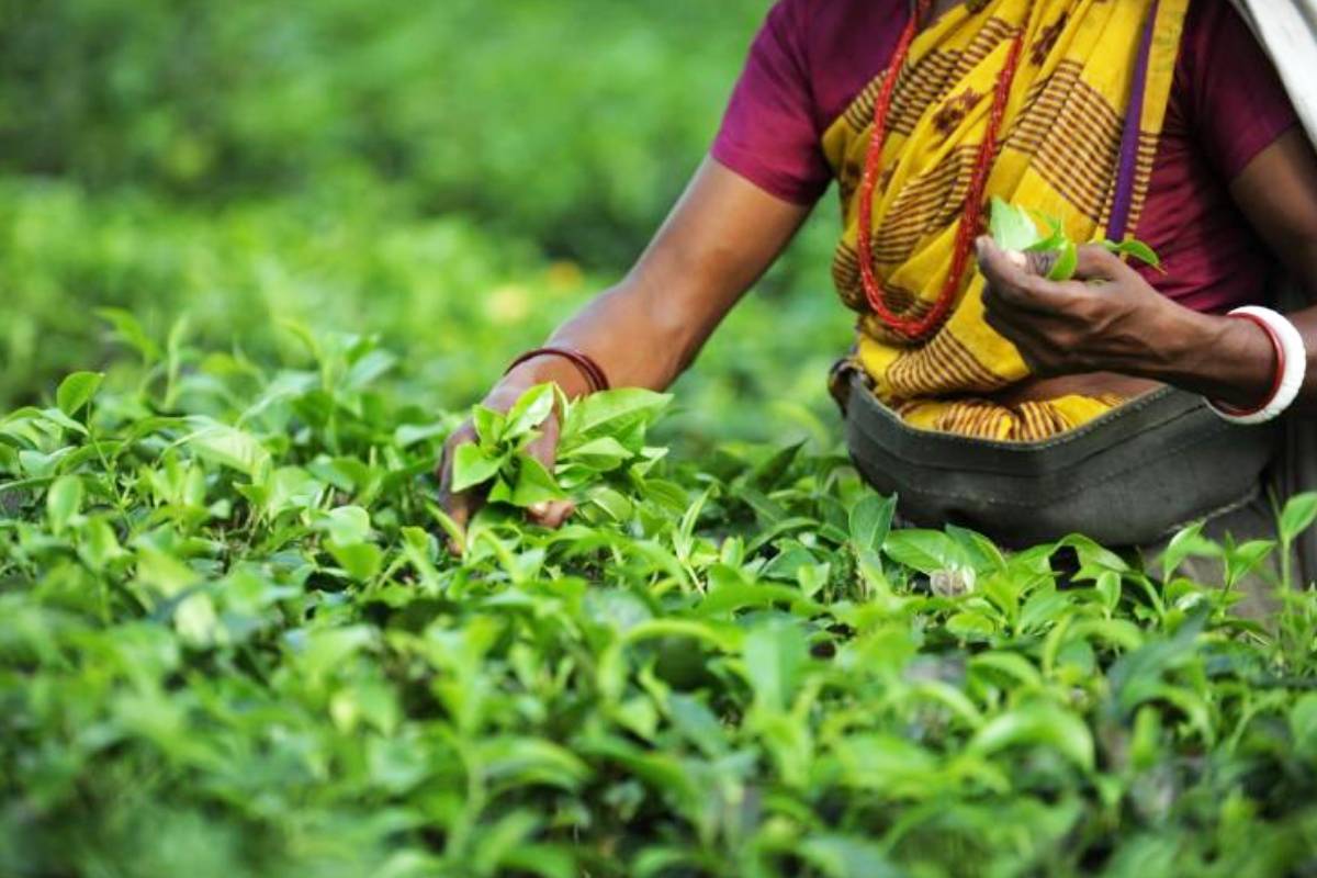 கடற்றொழிலாளர்களின் பாதுகாப்பை மேம்படுத்த வகுக்கப்பட்டுள்ள புதிய திட்டங்கள்! | Minister Ramalingam S May Day Greetings