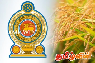 நெல் விவகாரத்தில் அரசாங்கத்திற்கு புதிய சிக்கல்