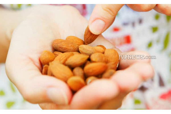பாதாமில் இத்தனை ஆயுர்வேத நற்பலன்களா! | Ayurvedic Concepts Of Badam
