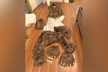 காப்பீட்டுத் தொகைக்காக வினோத மோசடியில் ஈடுபட்ட நபர்: காட்டிக் கொடுத்த கமெரா