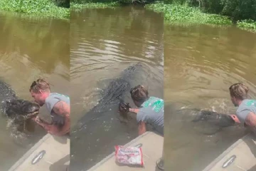 முதலையின் வாயில் முத்தமிட்டு, மசாஜ் செய்த இளைஞர் - வைரலாகும் வீடியோ!