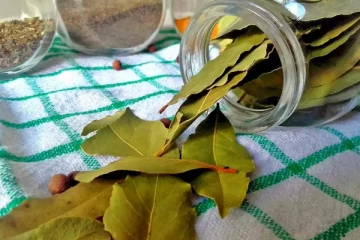 இந்த இலைக்கு நீரிழிவு நோயை தடுக்கும் சக்தி உண்டு...இனி டீ போட்டு குடிங்க!