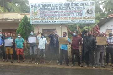 பதவி உயர்வு வழங்காமல் பழிவாங்கும் முகாமையாளர்: போராட்டத்தில் குதித்த ஊழியர்கள்(Photos)