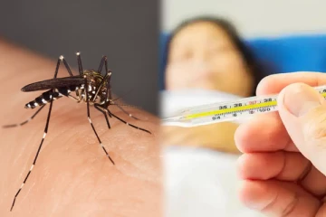 இலங்கையில் அதிகரிக்கும் டெங்கு தொற்று