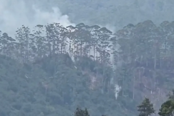 சிவனொளிபாத மலை பிரதேசத்தில் பாரிய தீ | Sripada Peak Wilderness Sanctuary Fire சிவனொளிபாத மலை பிரதேசத்தில் பாரிய தீ | Sripada Peak Wilderness Sanctuary Fire