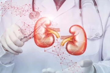 செயலிழக்கும் சிறுநீரகம்... உடனே இந்த ஆபத்தான பழக்கத்தை விட்டுருங்க