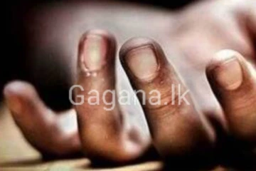 පාන් ලොරියේ යකඩ දොර පාසල් සිසුවෙකුට ගෙනා සංවේදී ඉරණම..