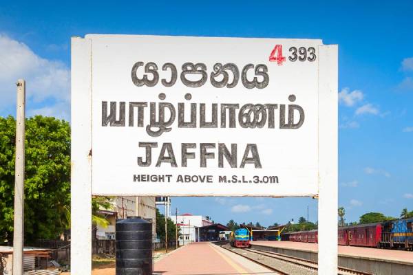 யாழில் வலிப்பு ஏற்பட்ட ஆணுக்கு நேர்ந்த கதி | Illavalai Resident Found Dead At Home