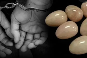 ගජමුතු ජාවාරාම වැරදුන තැන..