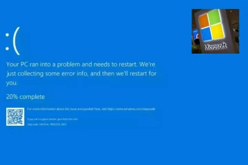 உலகம் முழுவதும் முடங்கிய Windows! வெளியான காரணம்
