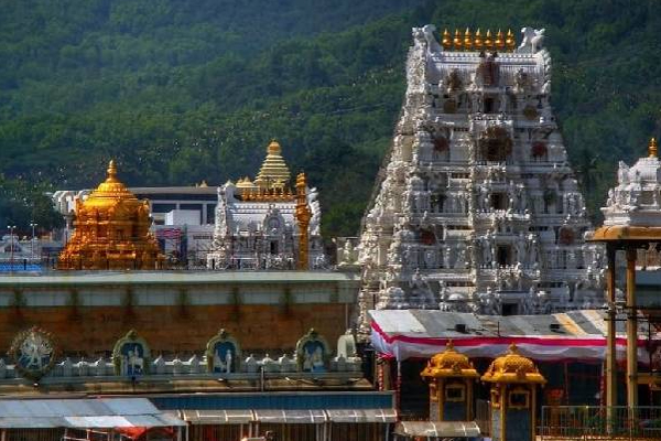 திருப்பதி எழுமலையான் கோவிலுக்கு செல்லும் பக்தர்களுக்கு ஓர் முக்கிய தகவல்! | Tirupati Egumalaiyan Temple12 Hours Closed Devotee