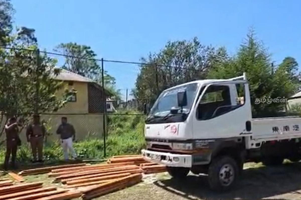 மகோகனி பலகைகளை கடத்தி சென்ற நபர்கள் கைது | Illegally Transporting Mahogany Boards