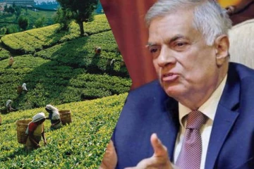 மலையக மக்களின் பிரச்சினைகளுக்கு நிரந்தர தீர்வு : ரணில் உறுதி - செய்திகளின் தொகுப்பு