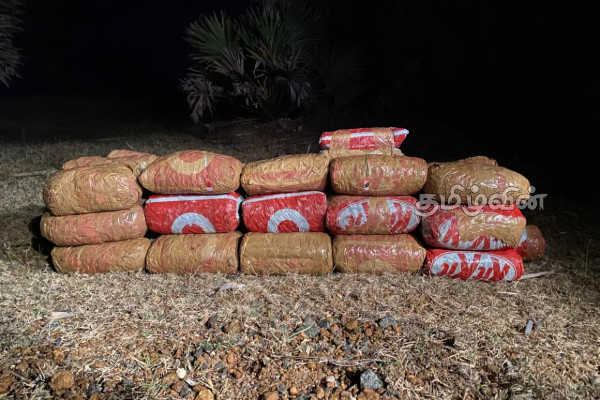 யாழ்ப்பாணத்தில் பெருந்தொகையான கேரள கஞ்சா மீட்பு | Large Quantity Of Kerala Cannabis Seized In Jaffna