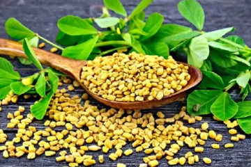 வெந்தயம் நல்லது தான்... ஆனால் இவங்கலாம் மட்டும் அதை சாப்பிட கூடாதாம்... மீறினால் சிக்கல் தான்