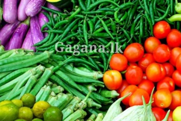 එළවළු මිලේ පුදුම හිතෙන වෙනසක් වෙලා.. මිල ගණන් සටහන් වුණේ මෙහෙමයි..