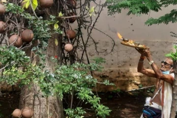 கோவில் மரங்களுக்கு பிறந்தநாள்;   இணையவாசிகளை ஆச்சர்யப்படவைத்த  அர்ச்சகர்!