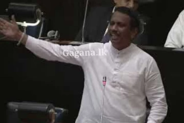 ප්‍රසිද්ධ දේශපාලඥයින් 2ක්?. වැලි වලින් ගහපු ගැහිල්ලක් පාර්ලිමේන්තුවේ දී එළියට..