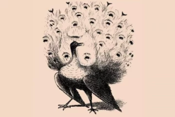 Optical illusion: இந்த மயில் உருவத்தில் இருக்கும் மனித முக உருவம் எங்கே உள்ளது?