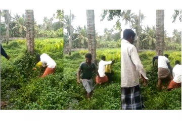 சிப்ஸ் தர மறுத்த இளைஞரை ஓட, ஓட கொடூரமாக தாக்கிய கும்பல் - வைரலாகும் அதிர்ச்சி வீடியோ