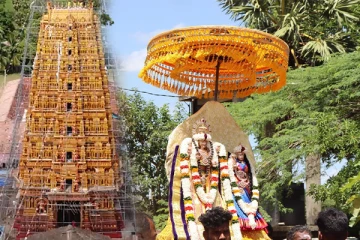 நாடளாவிய ரீதியில் நடைபெற்ற தேர்த்திருவிழாக்கள்(Video)