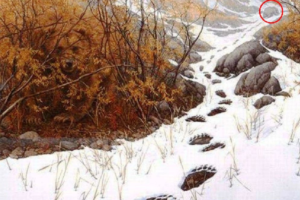 படத்தில் தெரியும் கால்தடங்களுக்கு சொந்தமான விலங்கு எங்கே உள்ளது? | Visually Sharp If You Can Spot Animal In Picture படத்தில் தெரியும் கால்தடங்களுக்கு சொந்தமான விலங்கு எங்கே உள்ளது? | Visually Sharp If You Can Spot Animal In Picture