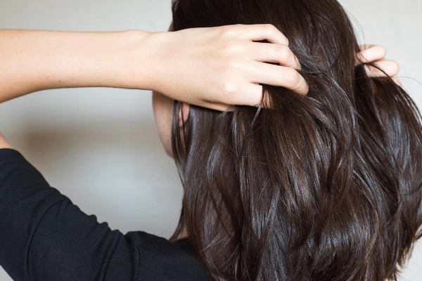 தினமும் காலையில் ஒரு துண்டு இஞ்சி; கிடைக்கும் ஏராளம் நன்மைகள்! | A Piece Of Ginger Every Morning Lots Of Benefits தினமும் காலையில் ஒரு துண்டு இஞ்சி; கிடைக்கும் ஏராளம் நன்மைகள்! | A Piece Of Ginger Every Morning Lots Of Benefits