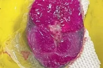 மீன் வாங்கியவர்களுக்கு ஏற்பட்ட அதிர்ச்சி