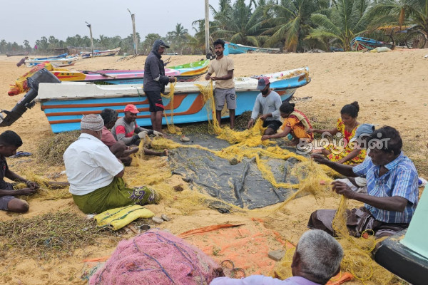 இந்திய இழுவைப்படகுகளால் அழிக்கப்படும் இறால் வளம்! | Shrimp Resources Being Destroyed Indian Trawlers இந்திய இழுவைப்படகுகளால் அழிக்கப்படும் இறால் வளம்! | Shrimp Resources Being Destroyed Indian Trawlers