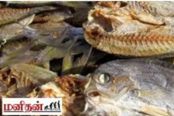 விஷமாக மாறும் சுவையான கடுவாடு! யாரெல்லாம் சாப்பிடக் கூடாது? எந்தெந்த உணவுடன் சேர்த்து சாப்பிடக் கூடாது தெரியுமா?
