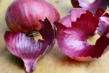 வாழ்நாள் முழுவதும் புற்றுநோயிலிருந்து பாதுகாப்பு! வெங்காய தோலின் அற்புதம்