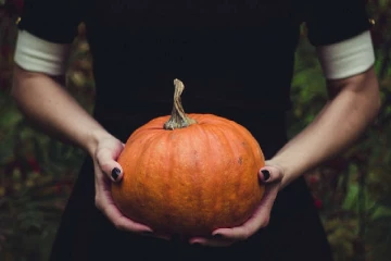 பறக்கும் பூசணிக்காய்கள்: சுவிஸ் மாகாணம் ஒன்றில் வாகன ஓட்டிகள் மீது தொடரும் வித்தியாசமாக தாக்குதல்