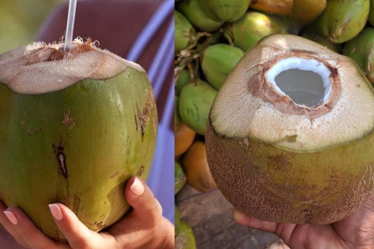இளநீரை யாரெல்லாம் குடிக்க கூடாது? | Who Should Not Drink Coconut Fresh Water இளநீரை யாரெல்லாம் குடிக்க கூடாது? | Who Should Not Drink Coconut Fresh Water